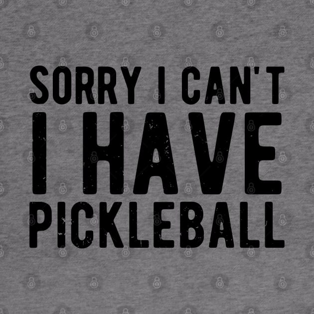 sorry i cant i have pickleball by Gaming champion